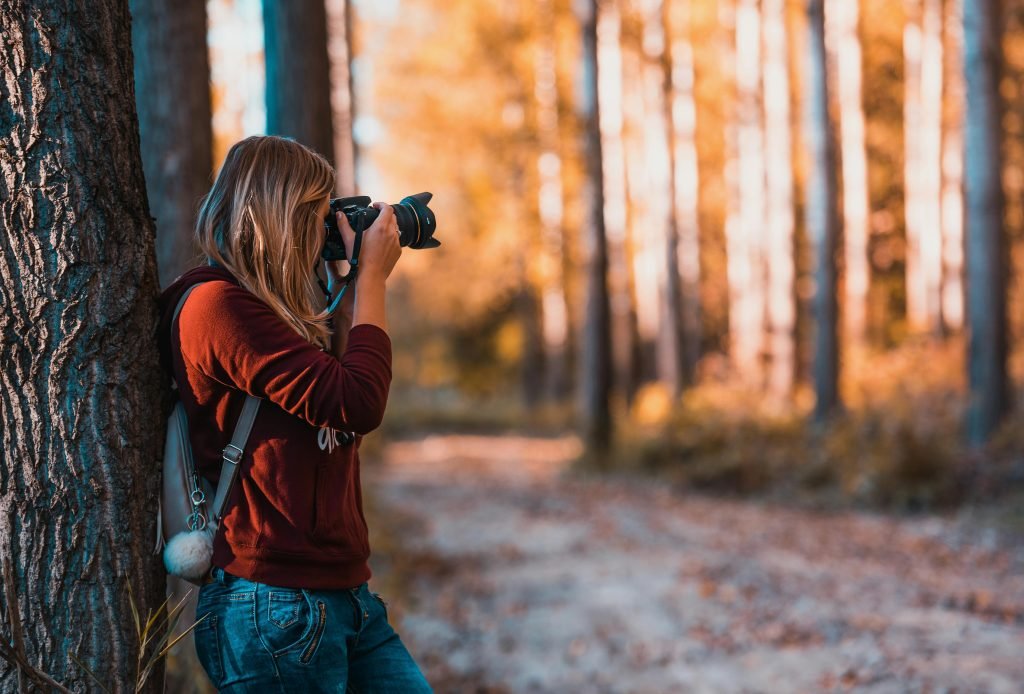 Fotografie in het Bos
